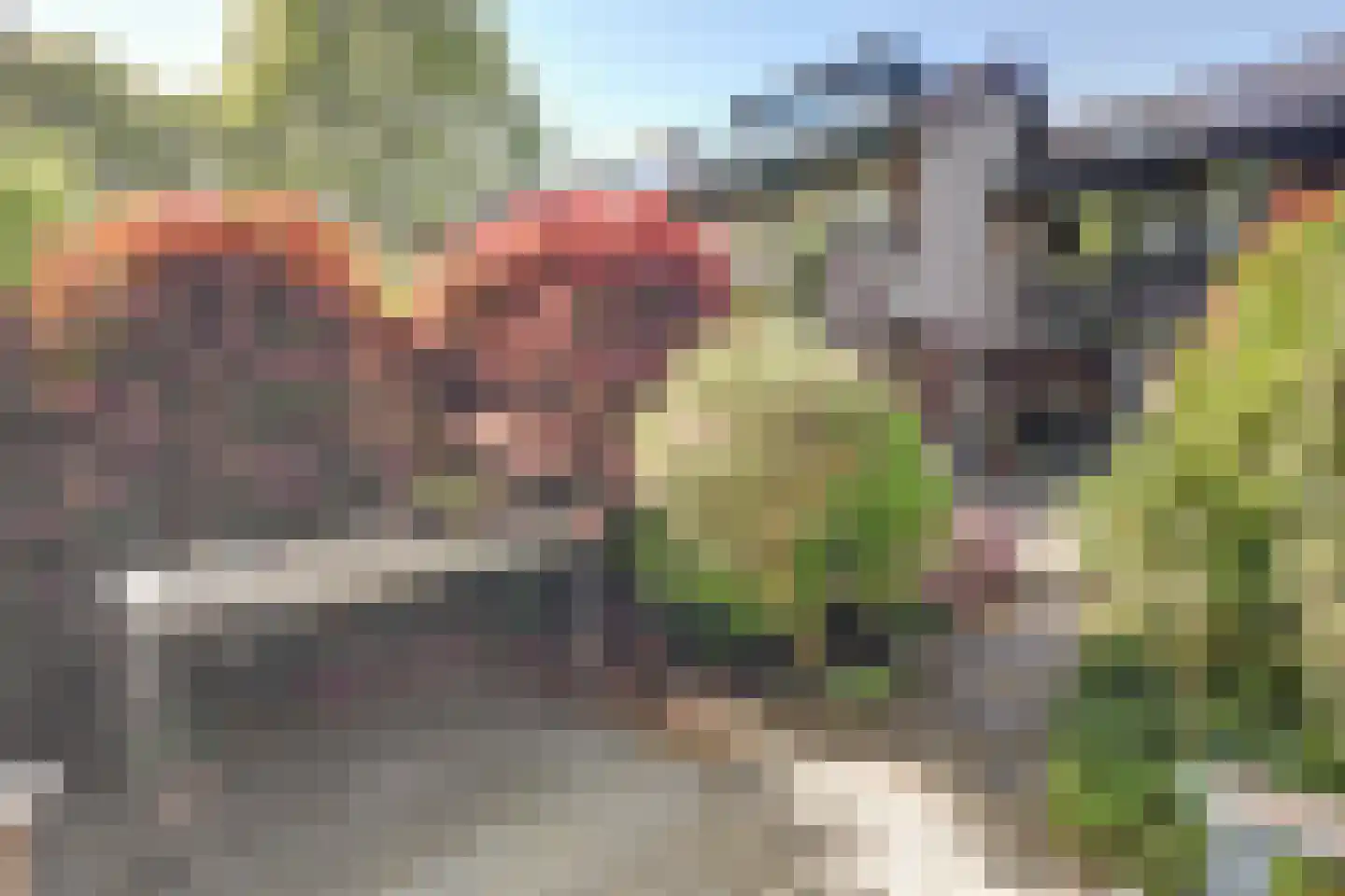 Hopklaver 31 Rotterdam thumbnail 33