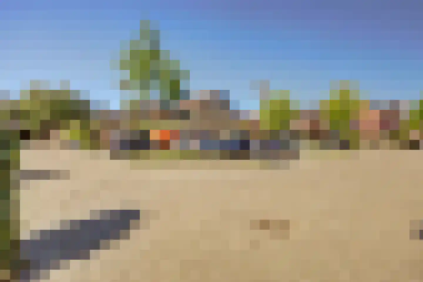 Hopklaver 31 Rotterdam thumbnail 37