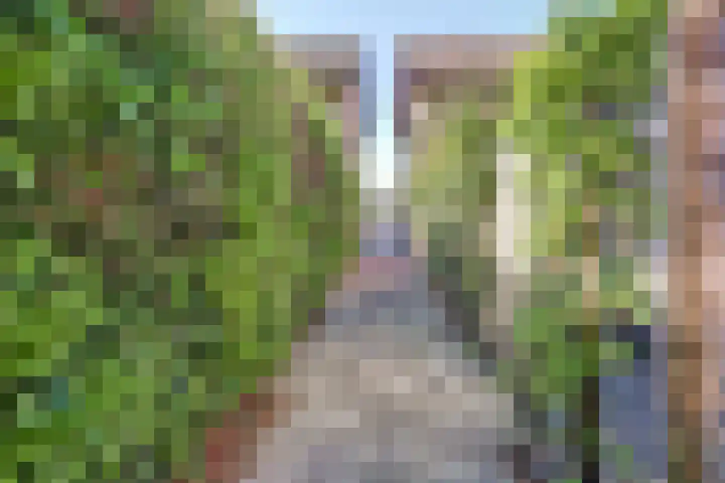 Hopklaver 31 Rotterdam thumbnail 38