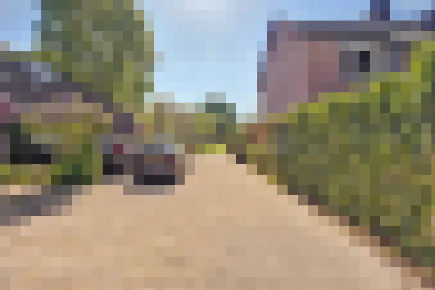 Hopklaver 31 Rotterdam thumbnail 39
