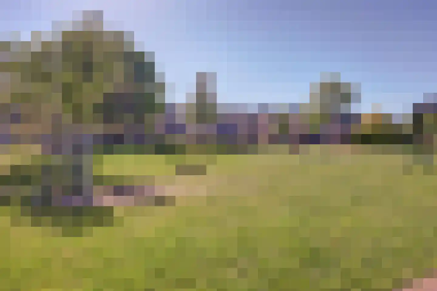 Hopklaver 31 Rotterdam thumbnail 40