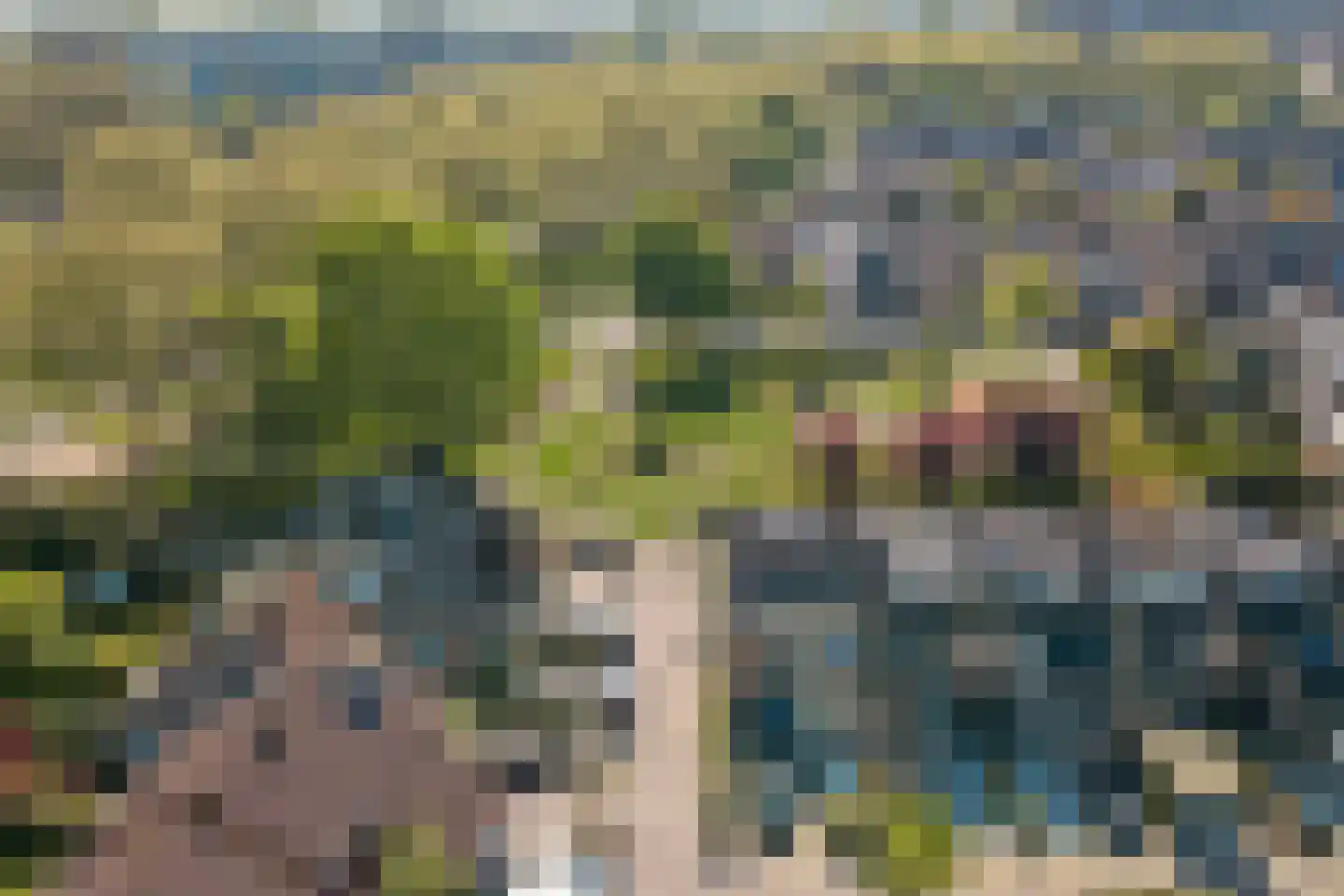 Hopklaver 31 Rotterdam thumbnail 43