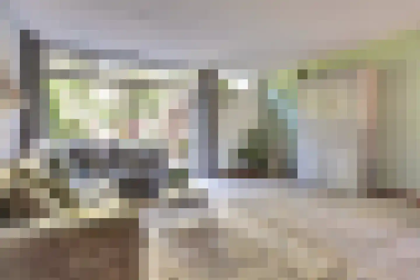 Hopklaver 31 Rotterdam thumbnail 5
