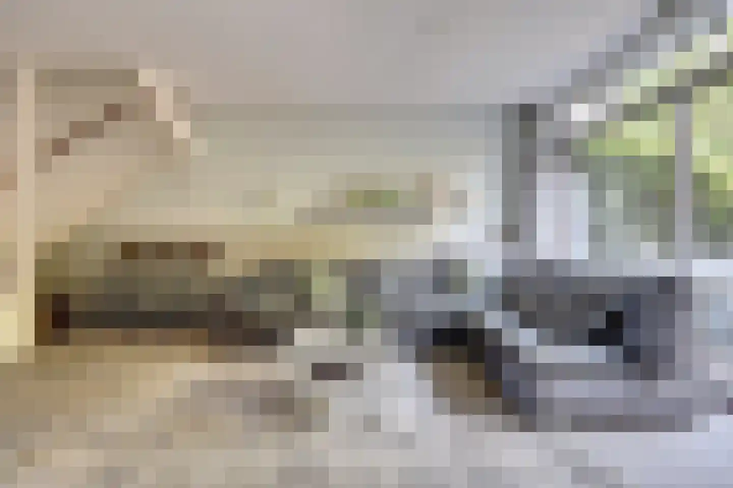 Hopklaver 31 Rotterdam thumbnail 6