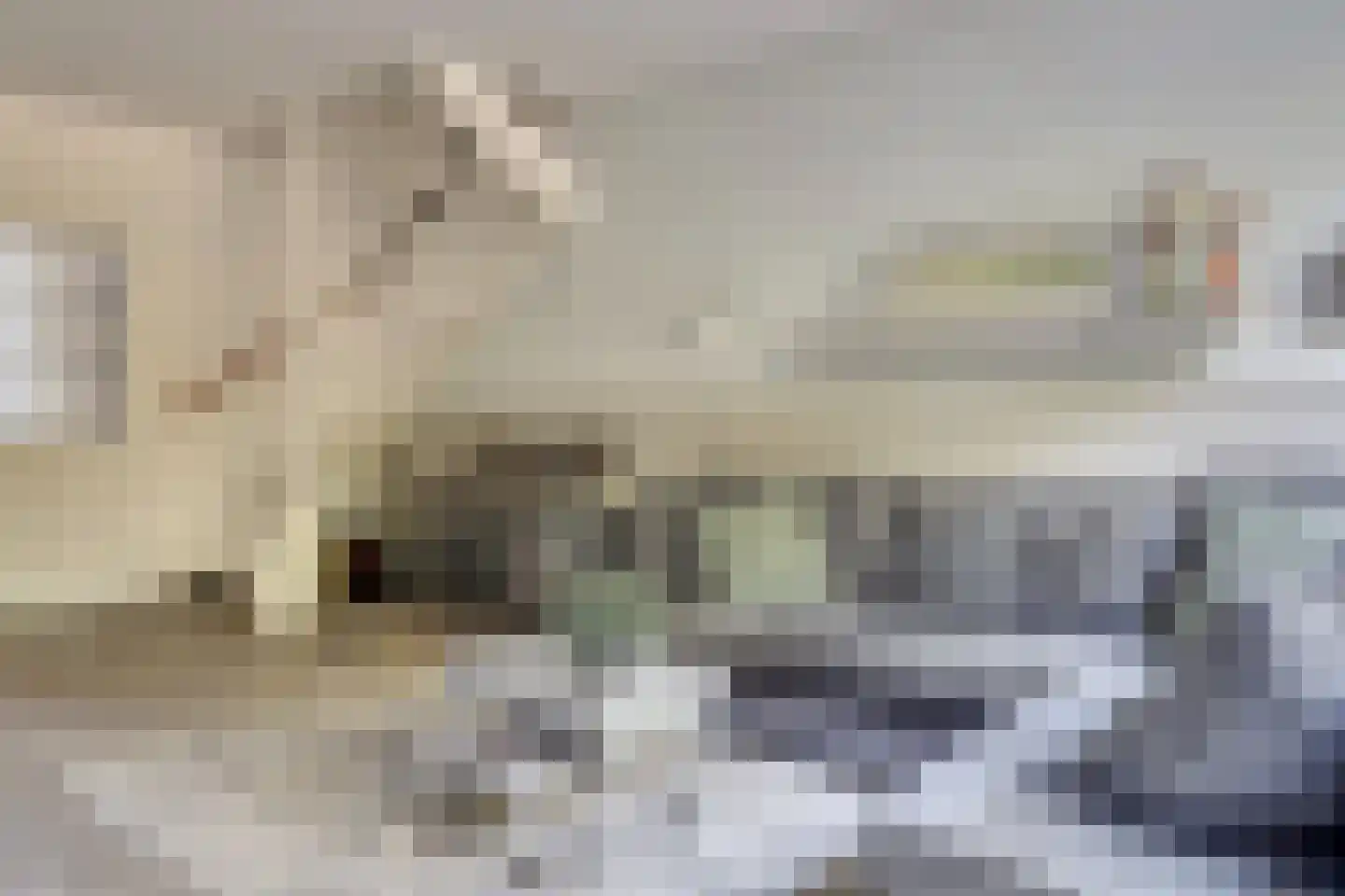 Hopklaver 31 Rotterdam thumbnail 7