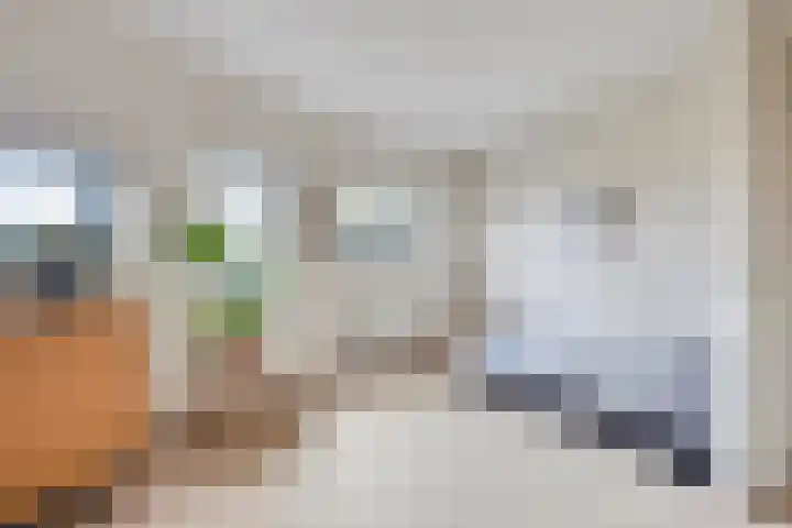 Hopklaver 40 Hendrik-Ido-Ambacht thumbnail 18