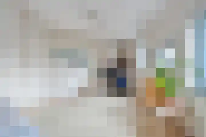 Hopklaver 40 Hendrik-Ido-Ambacht thumbnail 19