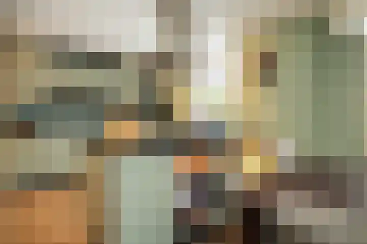 Hopkuil 8 Schijndel thumbnail 14