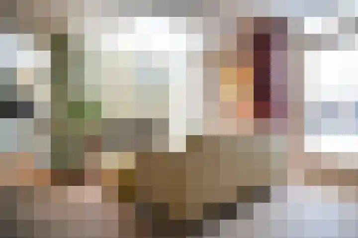 Hopkuil 8 Schijndel thumbnail 17