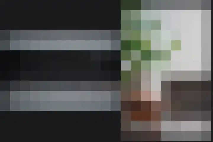Hopkuil 8 Schijndel thumbnail 18