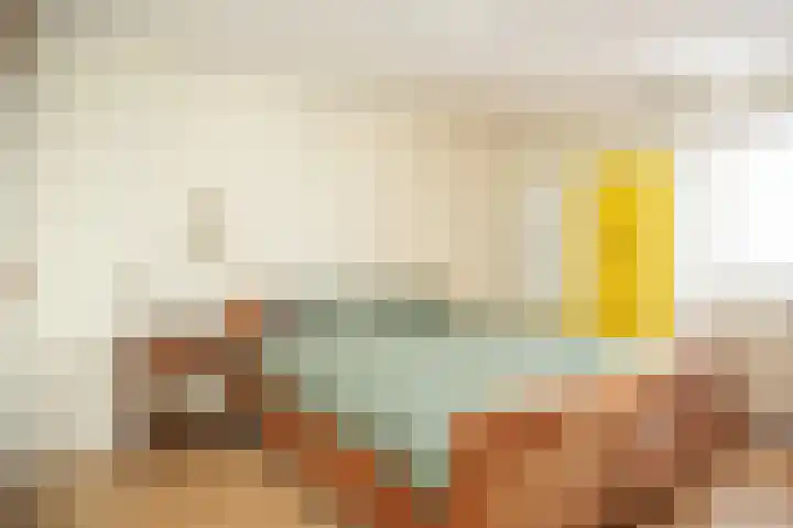 Hopkuil 8 Schijndel thumbnail 22