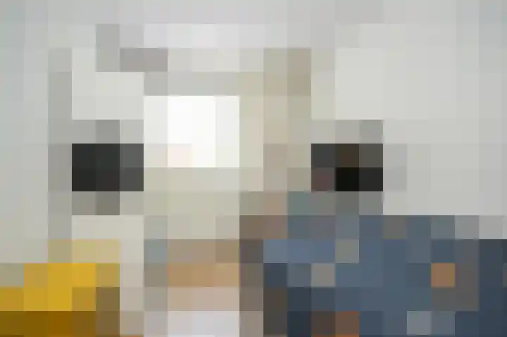 Hopkuil 8 Schijndel thumbnail 23