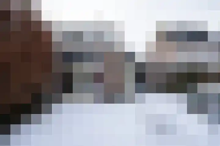 Hopkuil 8 Schijndel thumbnail 30