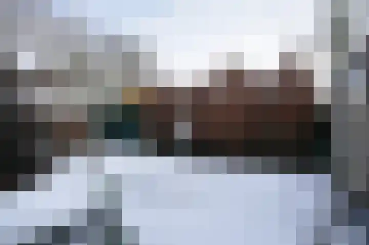 Hopkuil 8 Schijndel thumbnail 31