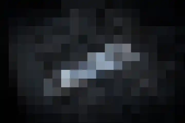 Hopkuil 8 Schijndel thumbnail 33