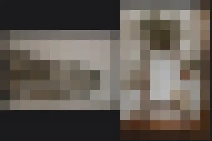 Hopkuil 8 Schijndel thumbnail 9
