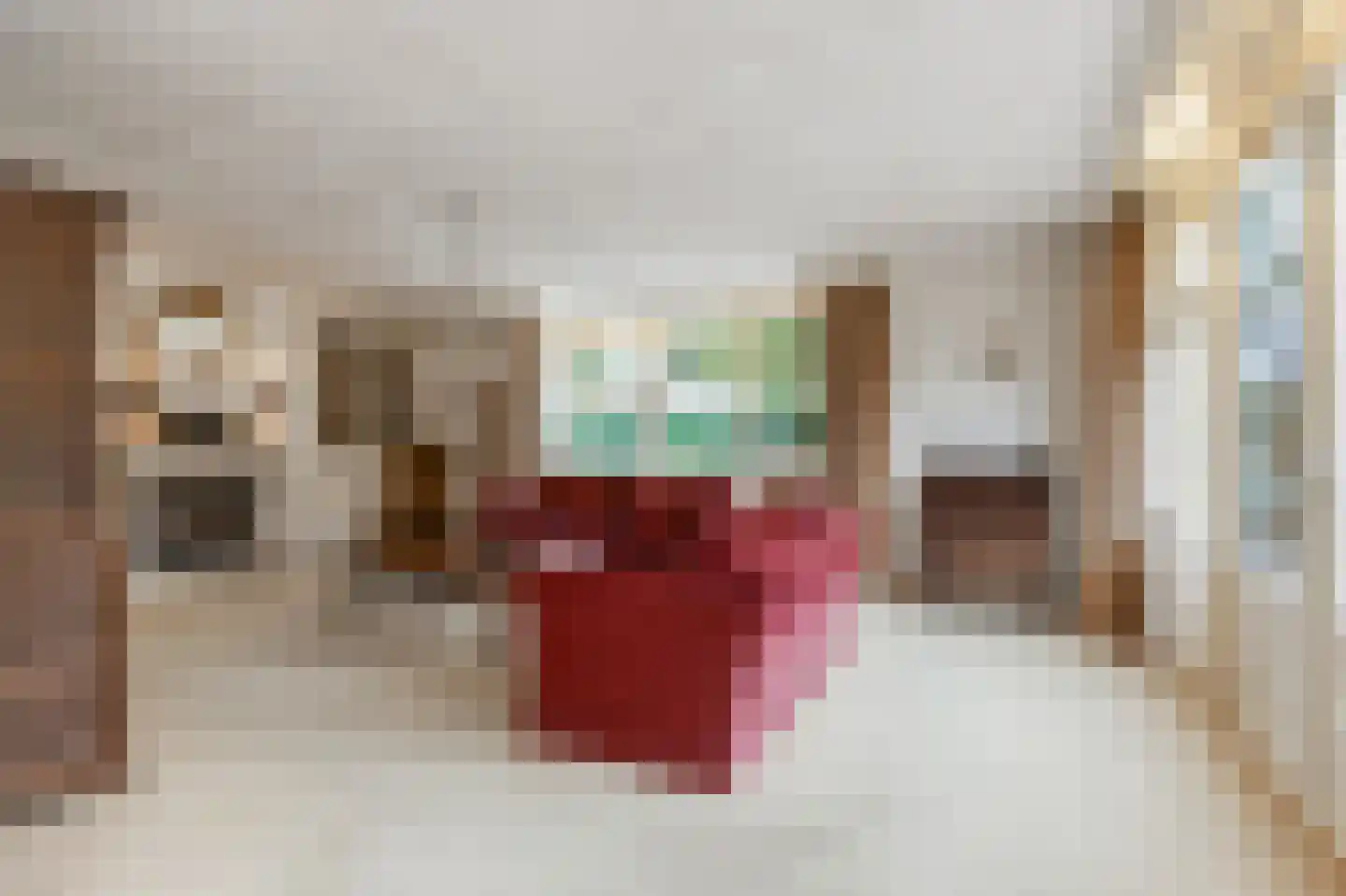 Hopland 13 Kerkwijk thumbnail 10