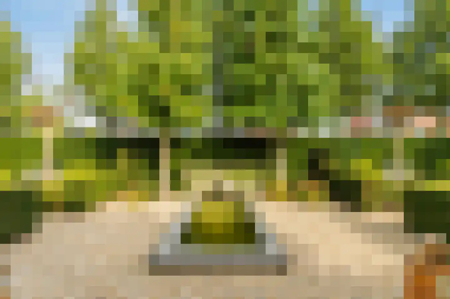 Hopland 13 Kerkwijk thumbnail 4