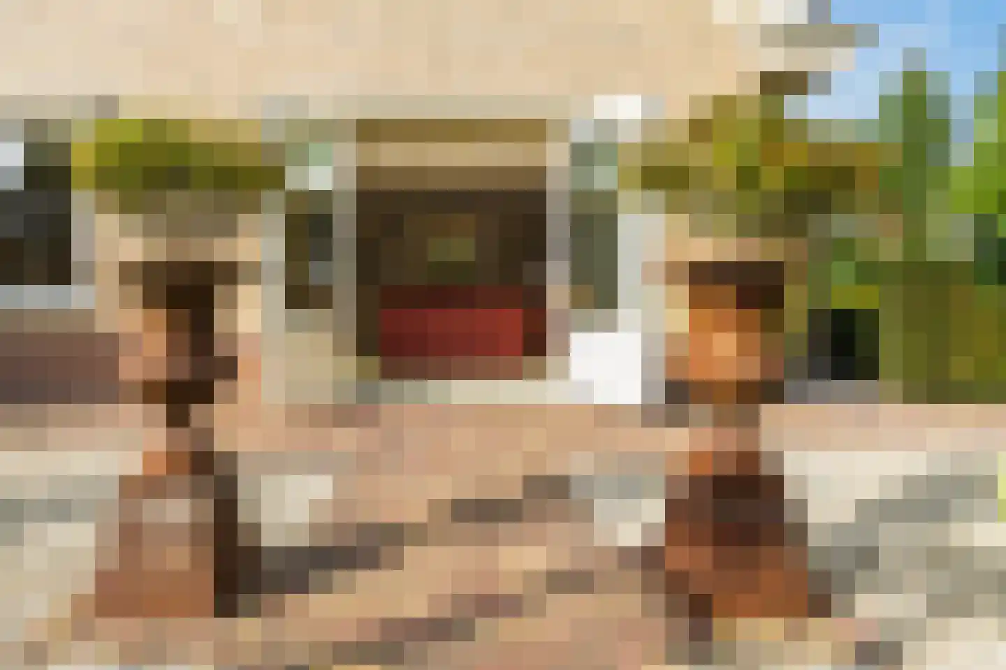Hopland 13 Kerkwijk thumbnail 5