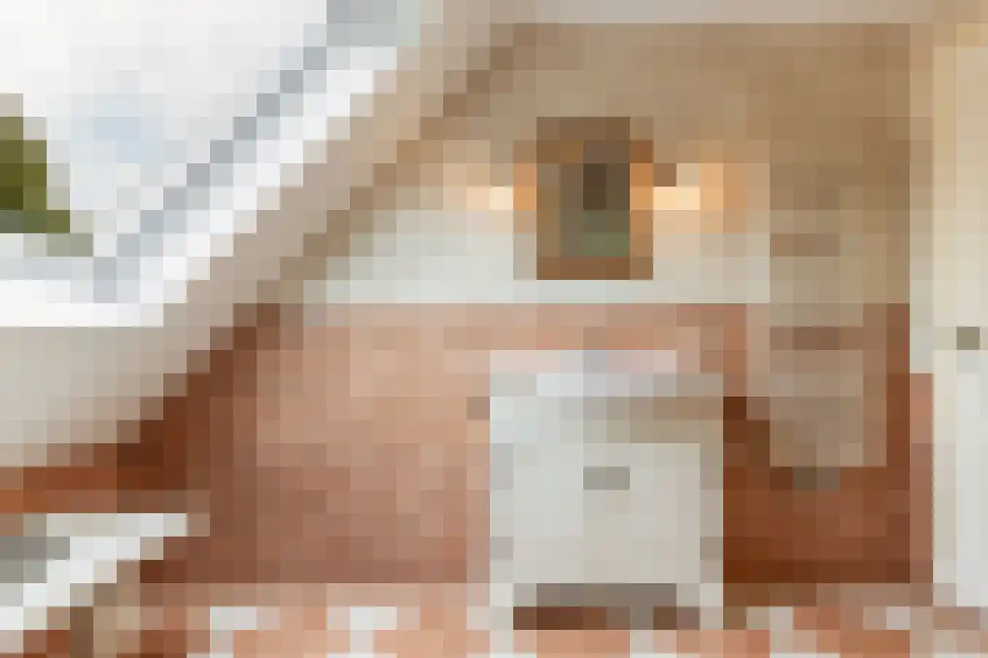 Hopland 13 Kerkwijk thumbnail 50