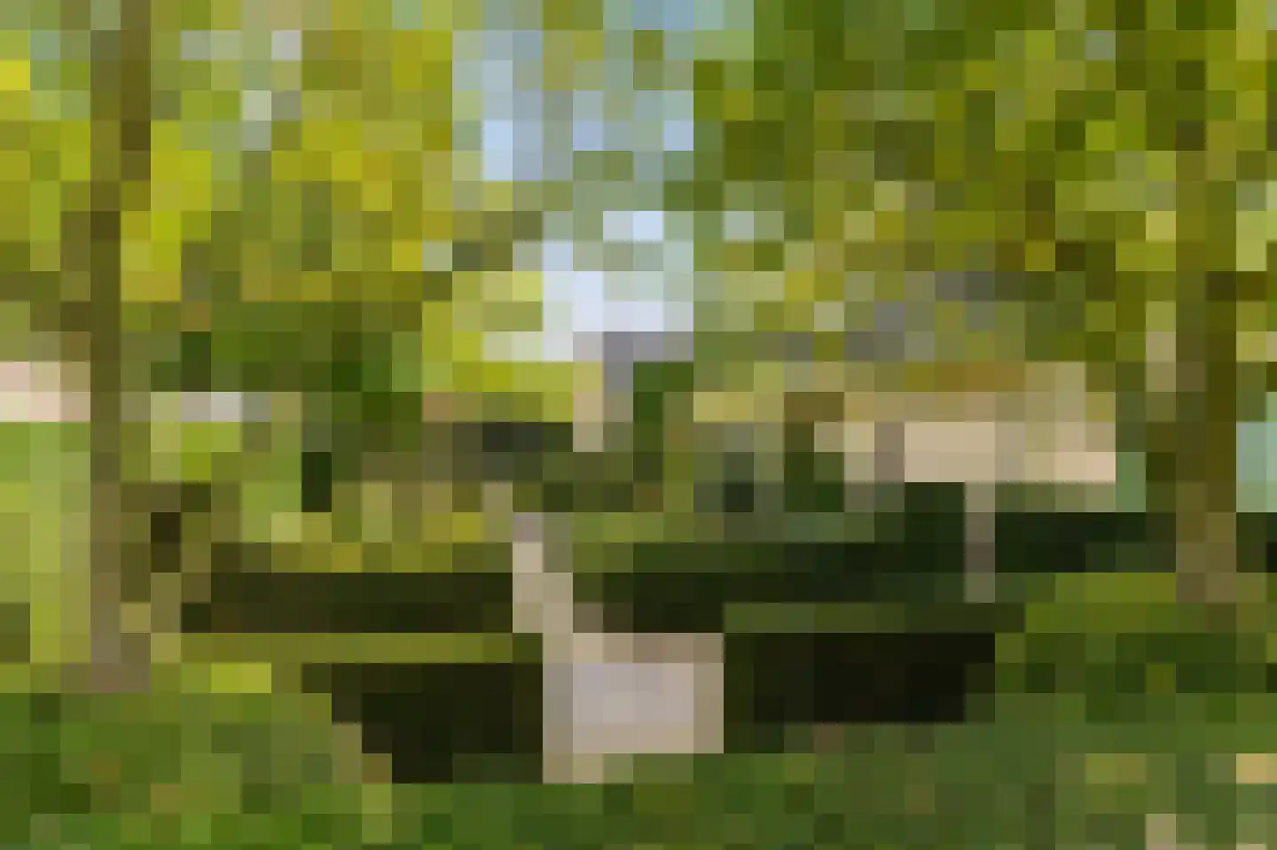 Hopland 13 Kerkwijk thumbnail 54