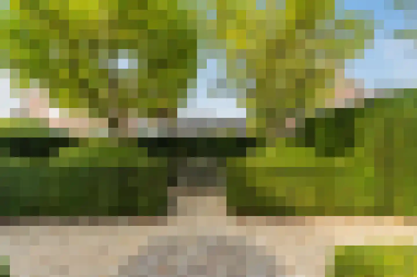 Hopland 13 Kerkwijk thumbnail 56