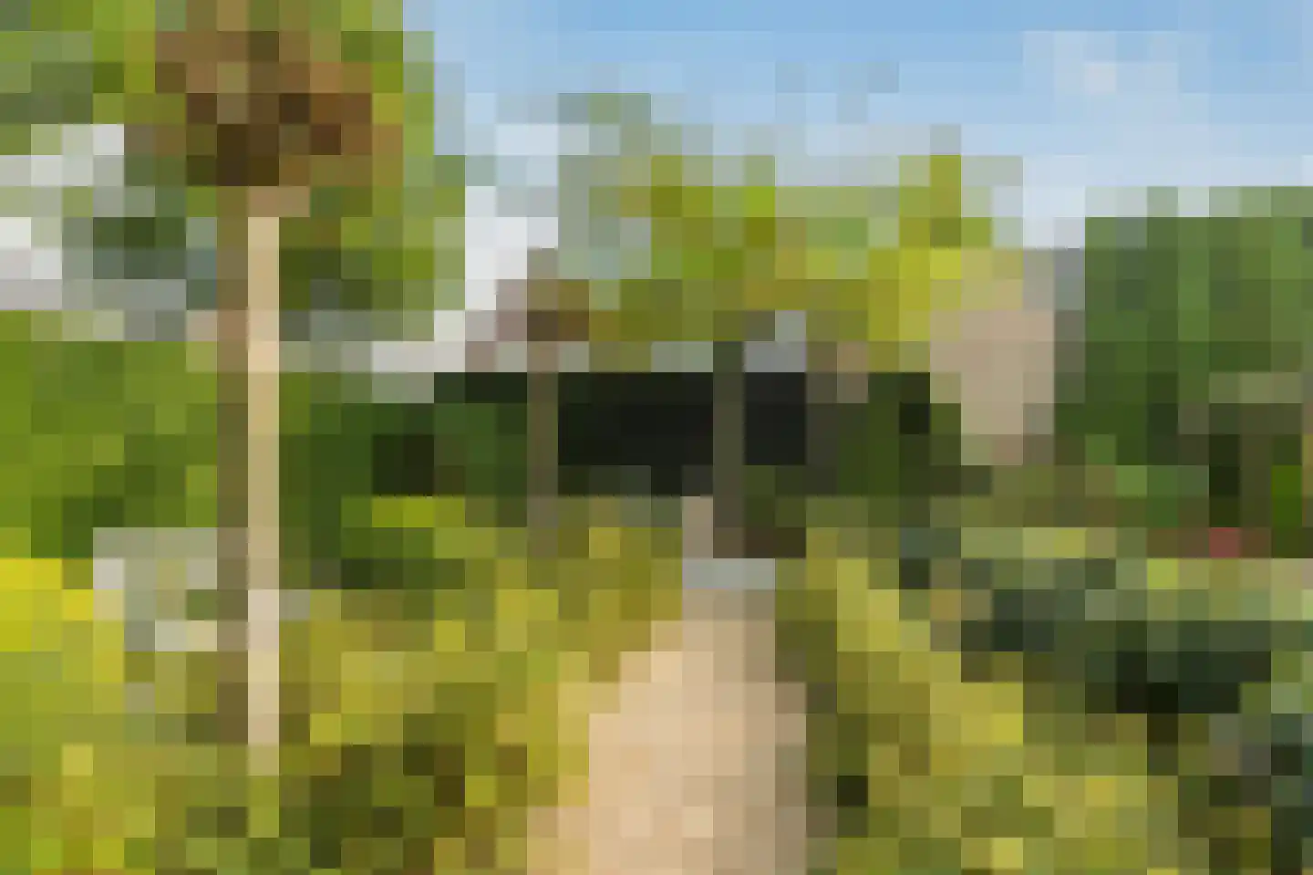 Hopland 13 Kerkwijk thumbnail 60
