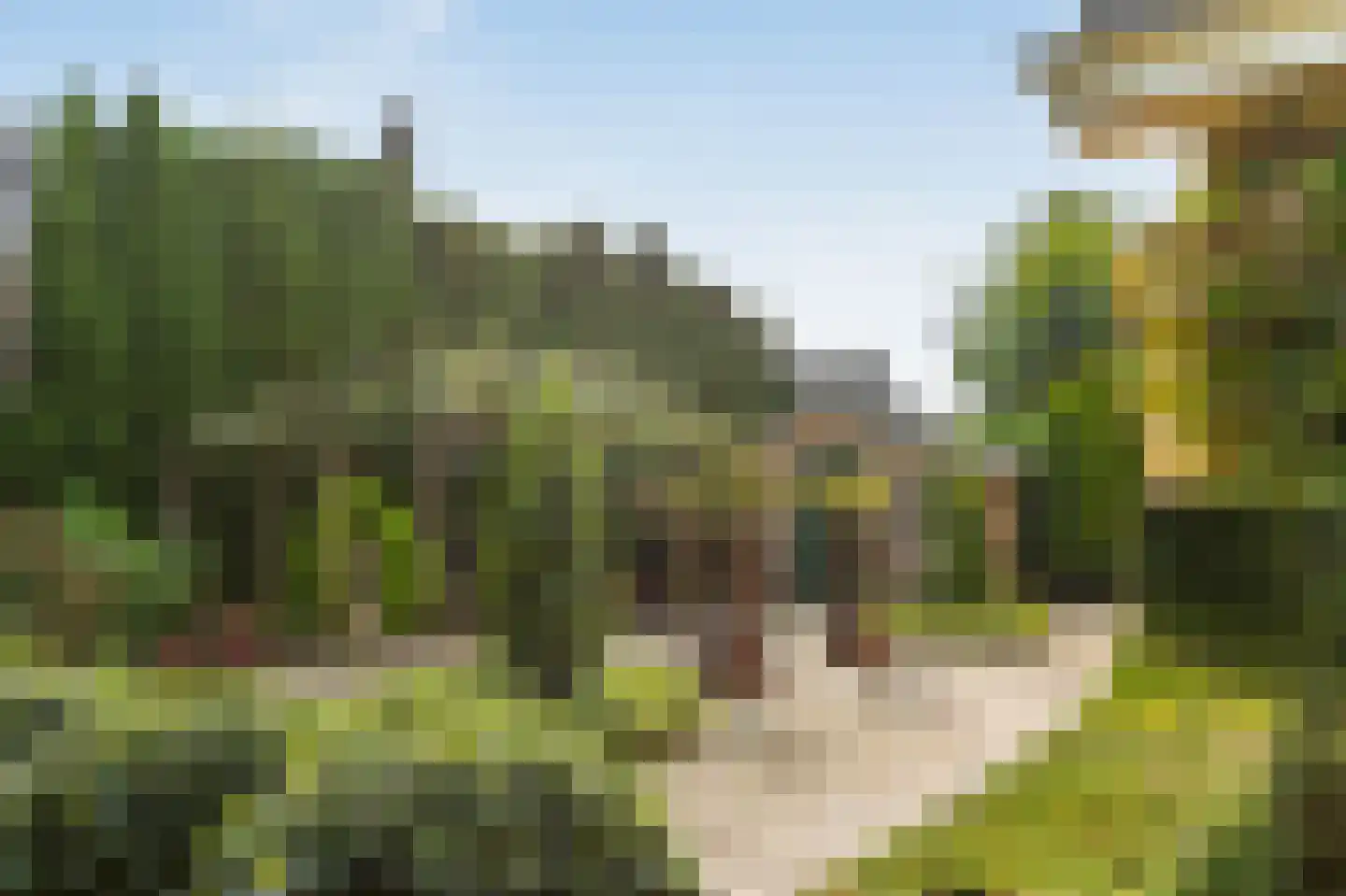 Hopland 13 Kerkwijk thumbnail 61