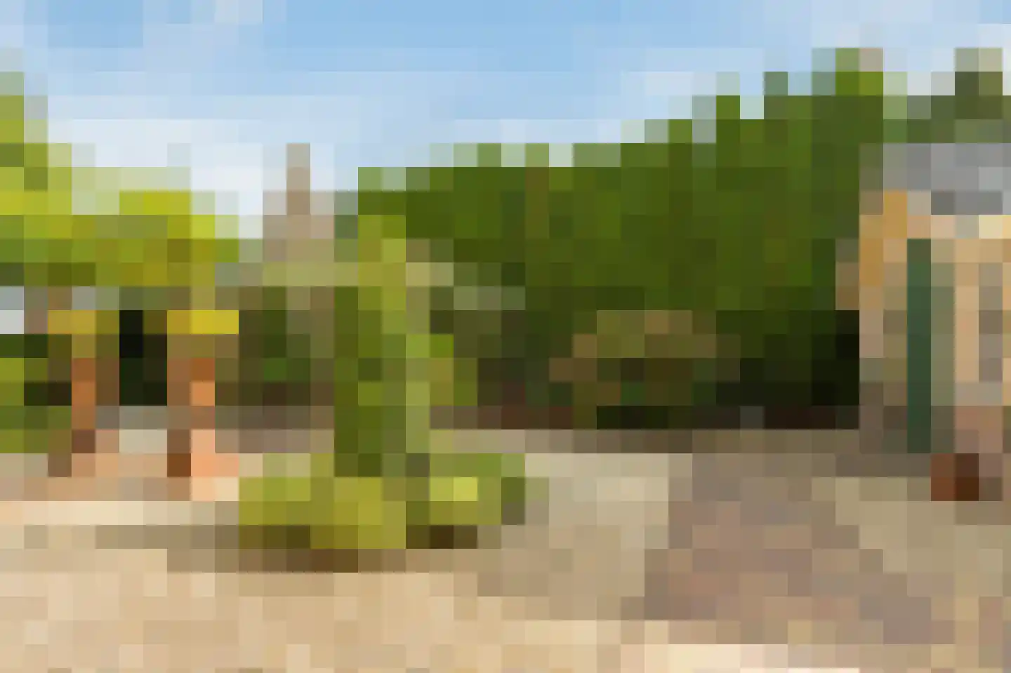 Hopland 13 Kerkwijk thumbnail 62