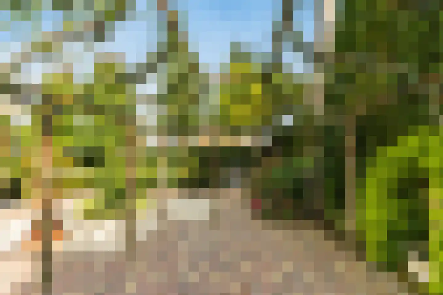 Hopland 13 Kerkwijk thumbnail 64