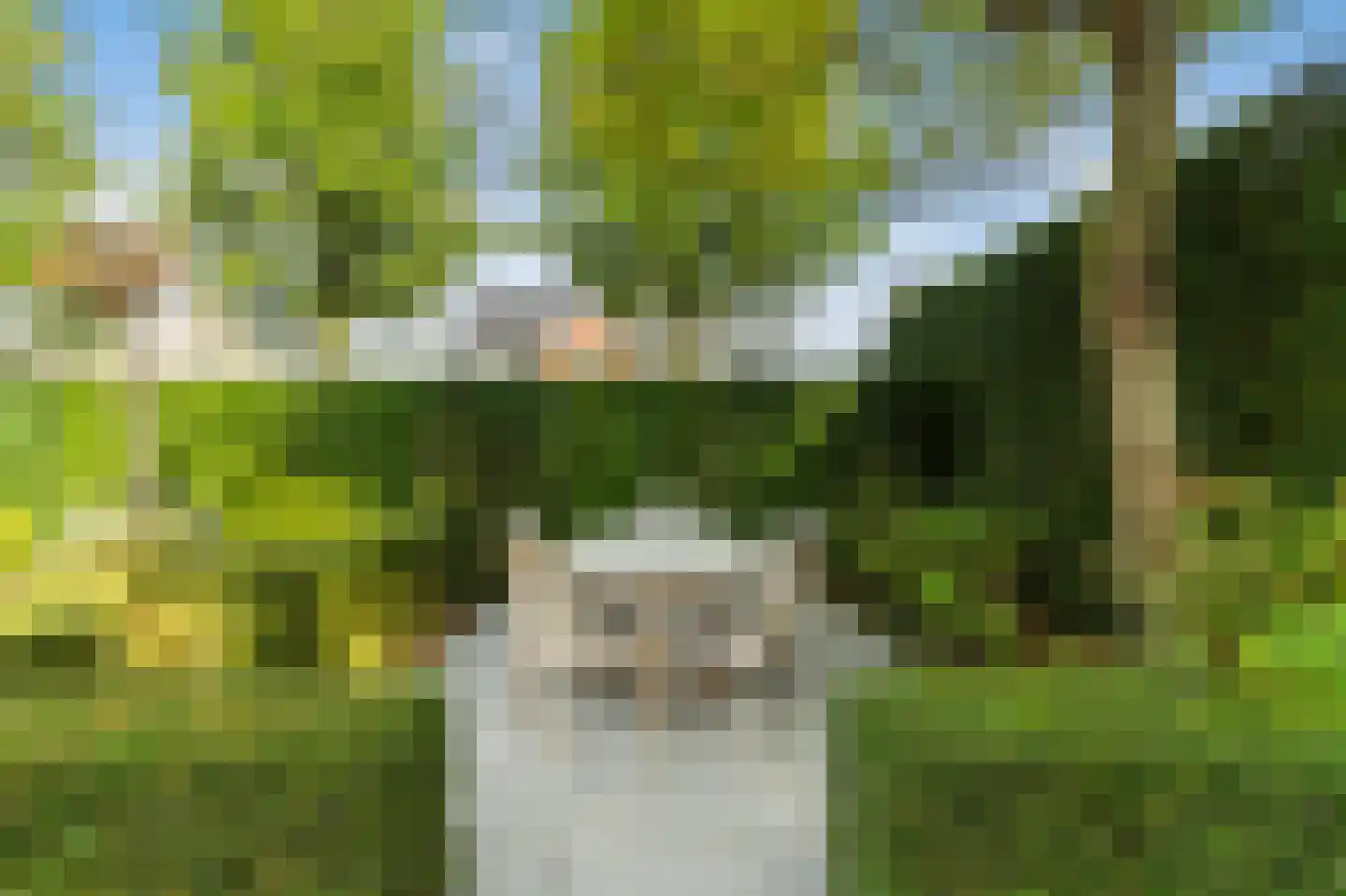 Hopland 13 Kerkwijk thumbnail 65