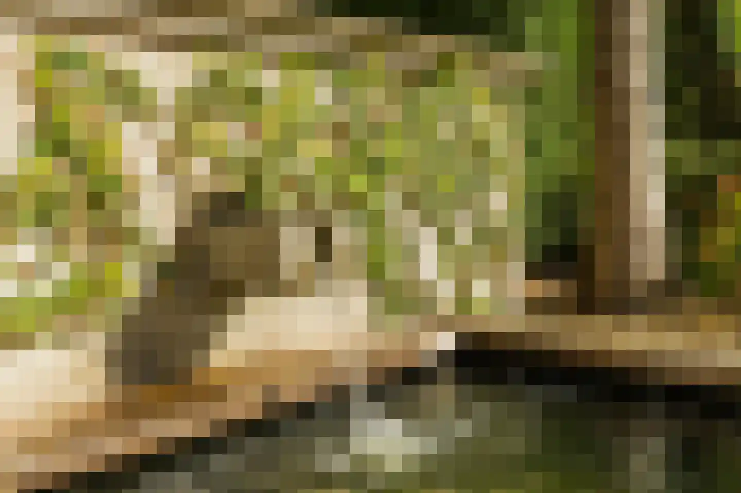 Hopland 13 Kerkwijk thumbnail 67