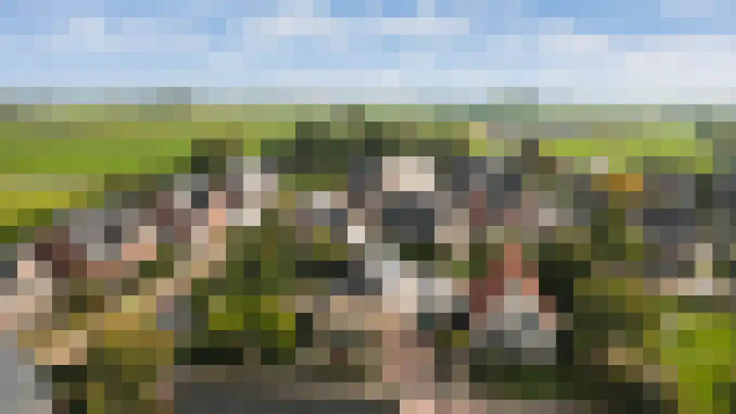 Hopland 13 Kerkwijk thumbnail 75