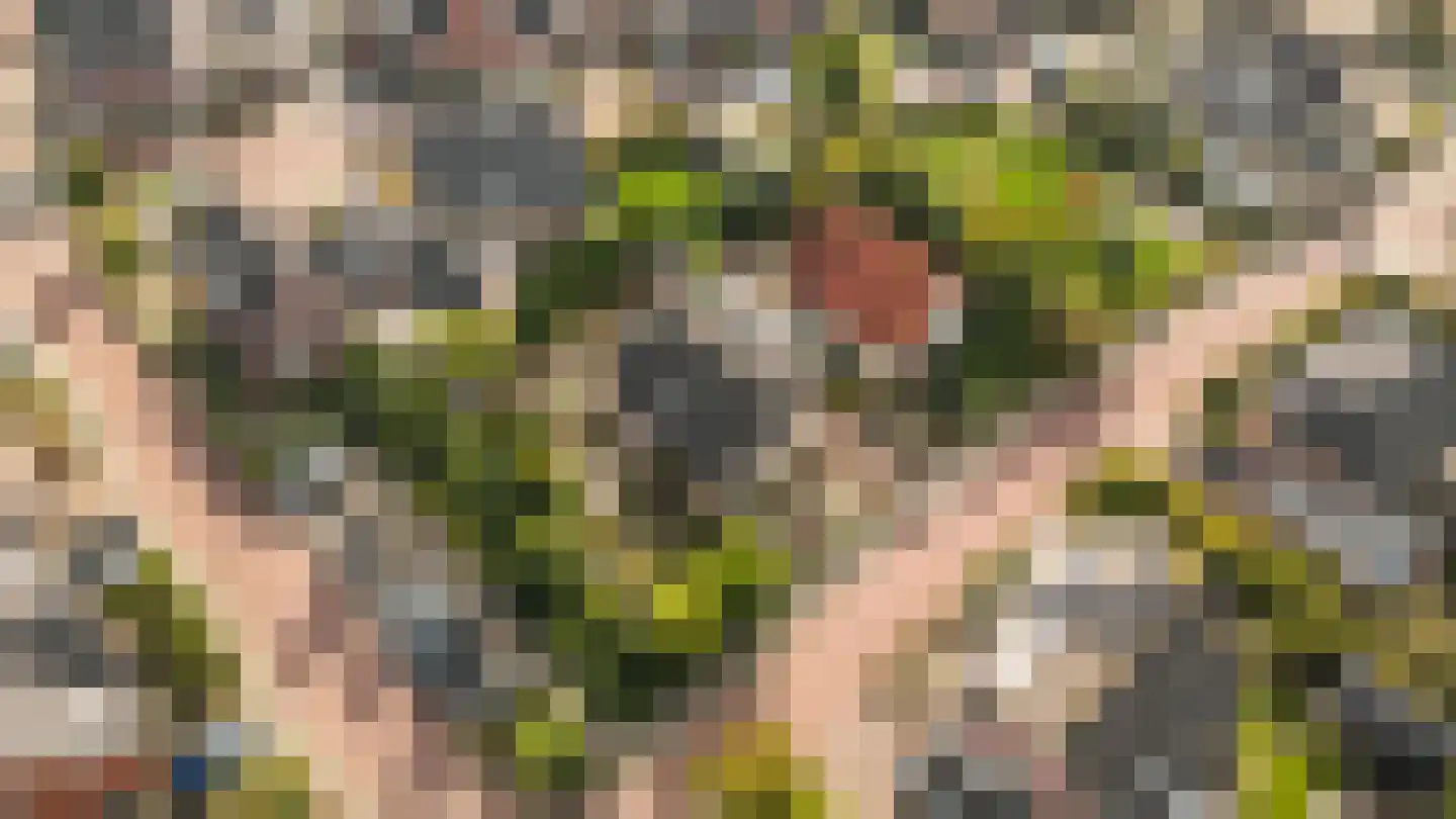 Hopland 13 Kerkwijk thumbnail 76