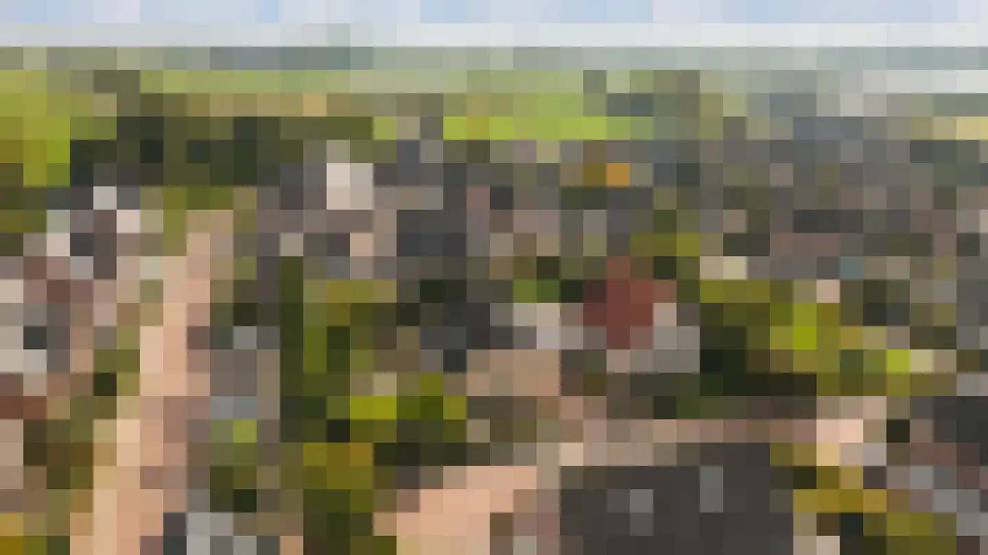 Hopland 13 Kerkwijk thumbnail 77