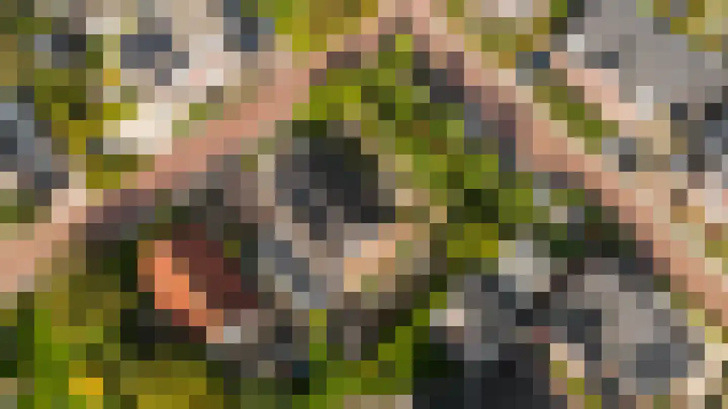 Hopland 13 Kerkwijk thumbnail 78