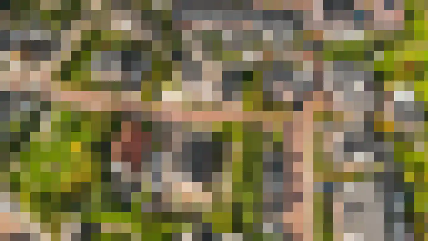 Hopland 13 Kerkwijk thumbnail 79