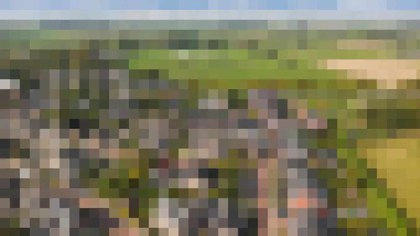 Hopland 13 Kerkwijk thumbnail 80