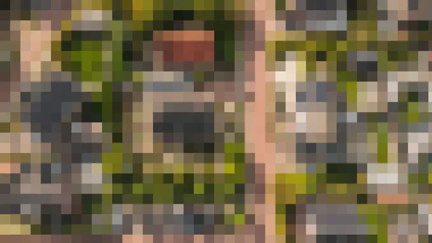 Hopland 13 Kerkwijk thumbnail 81