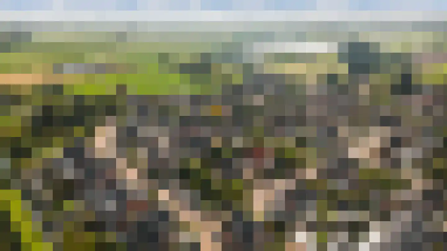 Hopland 13 Kerkwijk thumbnail 82