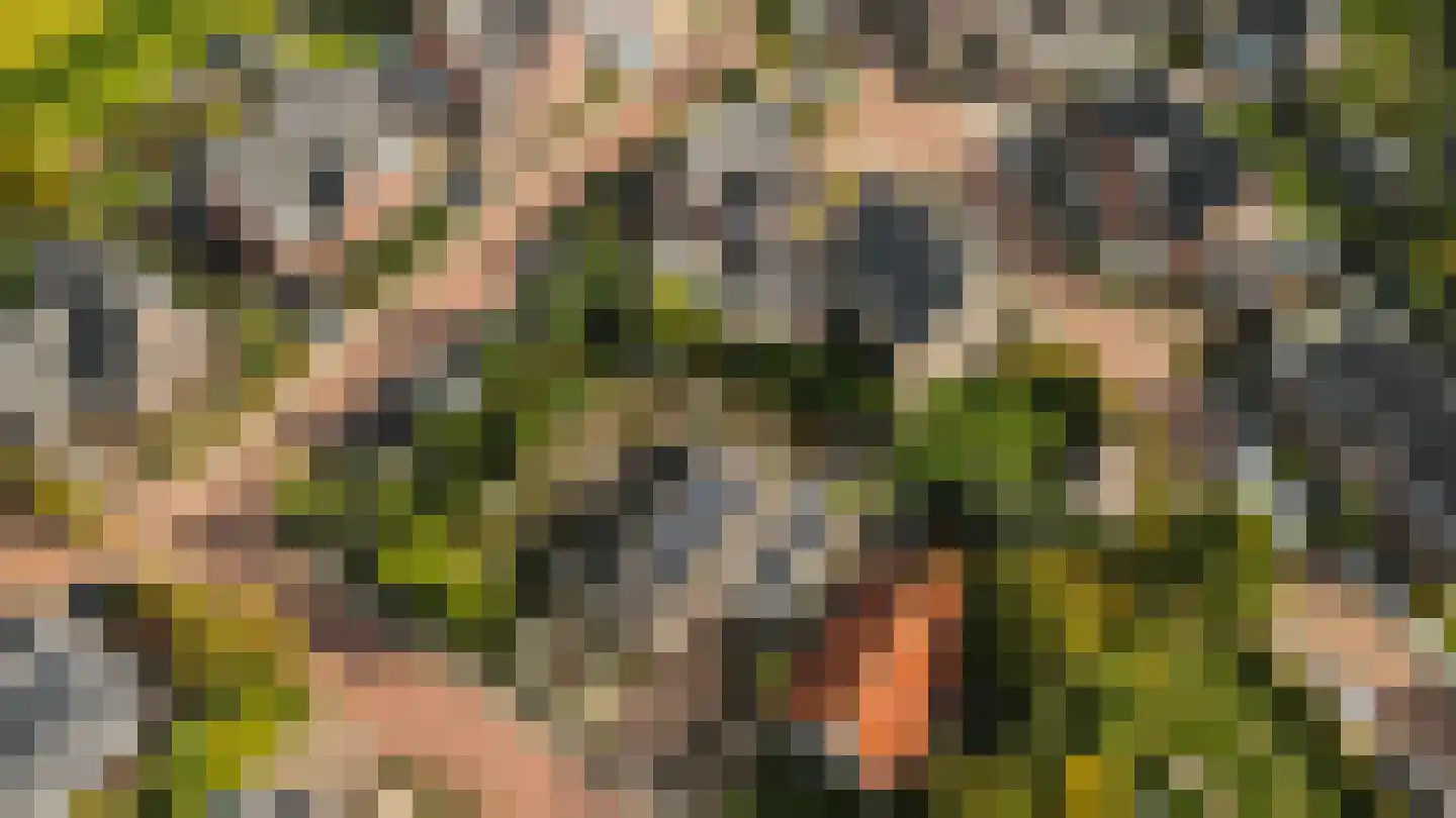 Hopland 13 Kerkwijk thumbnail 83