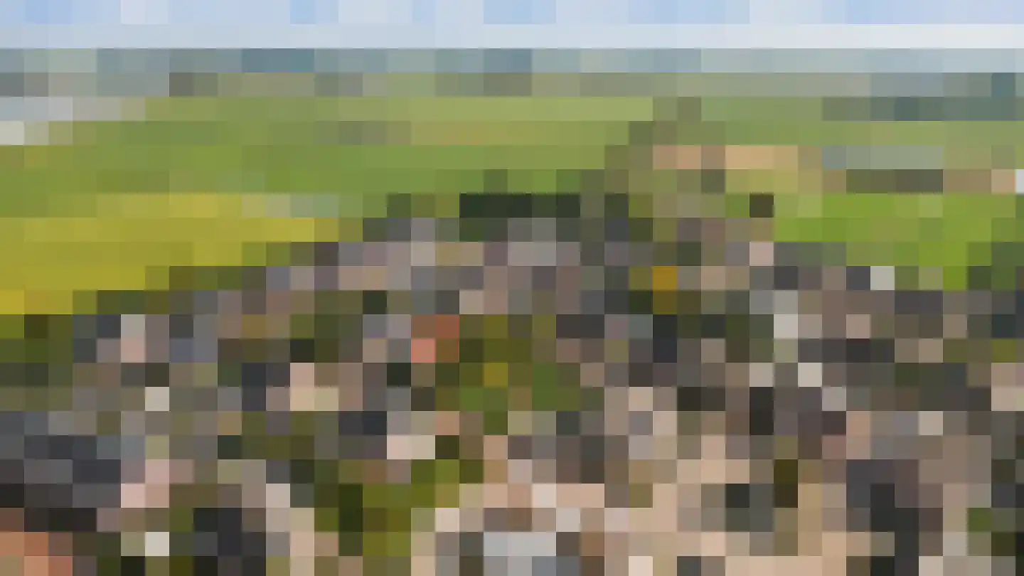 Hopland 13 Kerkwijk thumbnail 84
