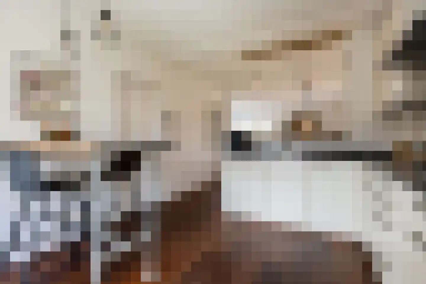 Hopland 22 Kerkwijk thumbnail 10