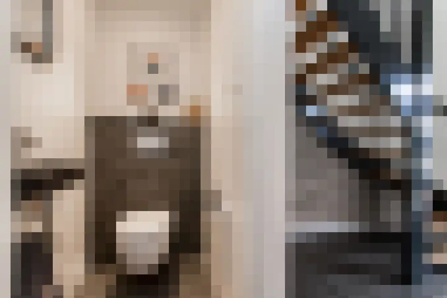 Hopland 22 Kerkwijk thumbnail 18