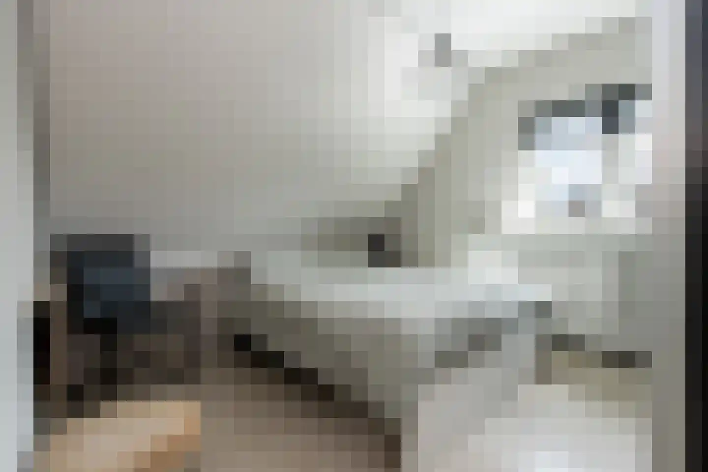 Hopland 22 Kerkwijk thumbnail 25