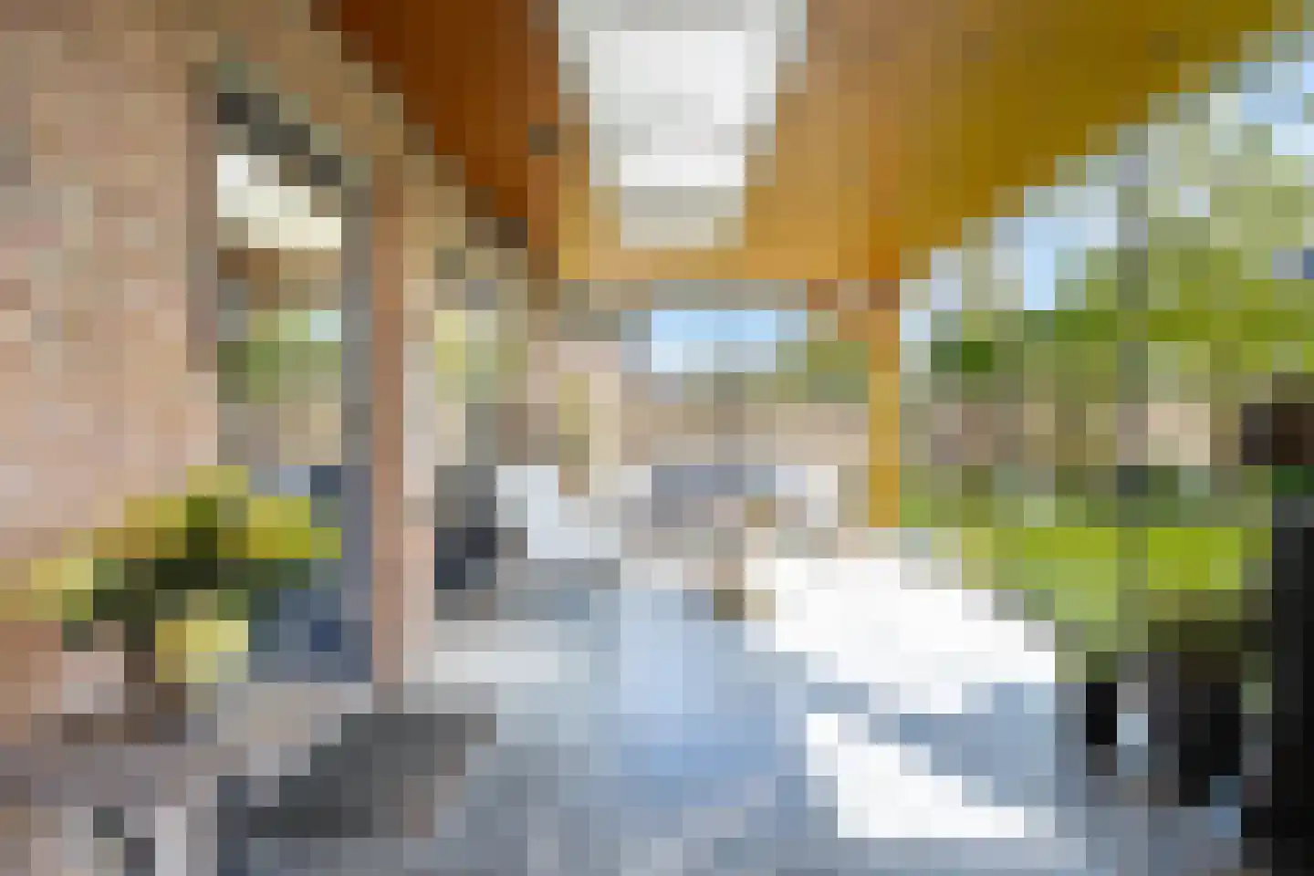 Hopland 22 Kerkwijk thumbnail 33