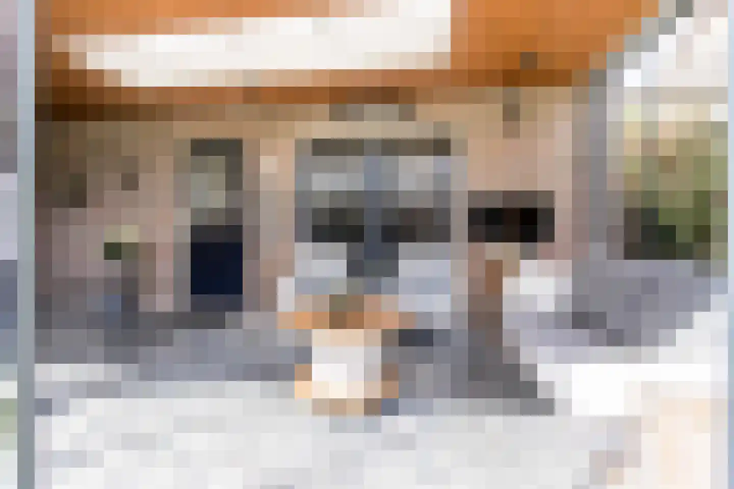 Hopland 22 Kerkwijk thumbnail 35
