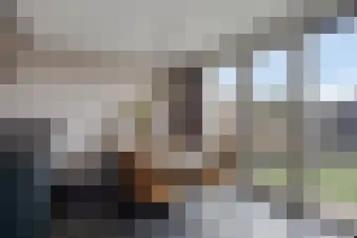 Hopland 30 a Kerkwijk thumbnail 14