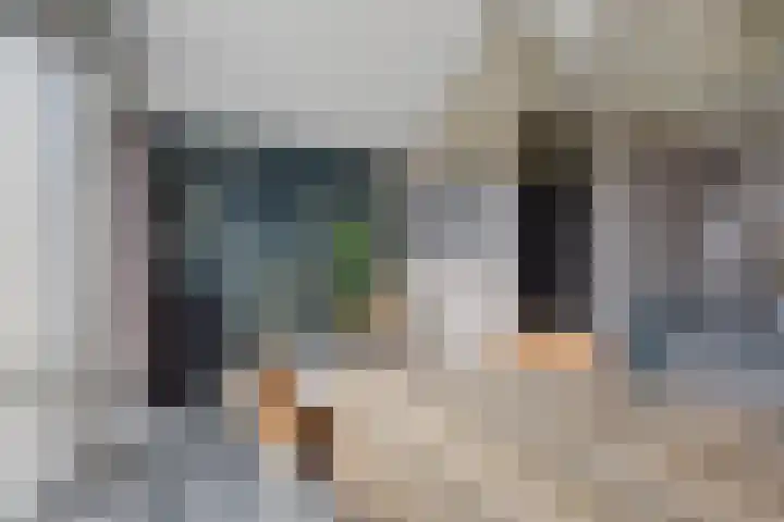 Hopland 30 a Kerkwijk thumbnail 16