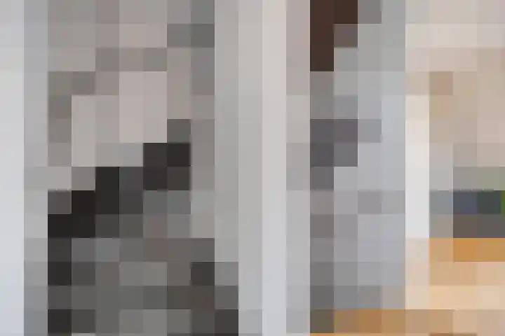 Hopland 30 a Kerkwijk thumbnail 18